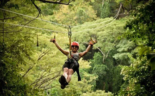 Zip lining through the canopy